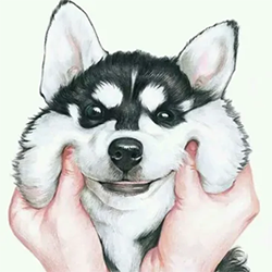 wolves