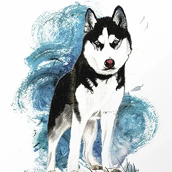 wolves