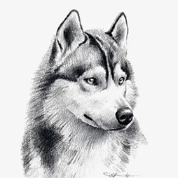 wolves