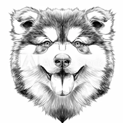 wolves